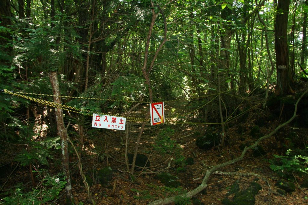 Aokigahara.Japan.lovethiscitytv