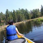 algonquin park ontario love this city toronto tv