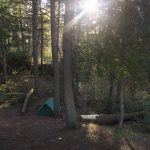 algonquin park ontario love this city toronto tv