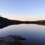 algonquin park ontario love this city toronto tv