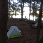 algonquin park ontario love this city toronto tv