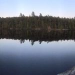 algonquin park ontario love this city toronto tv