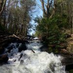 algonquin park ontario love this city toronto tv