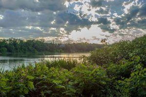 high park