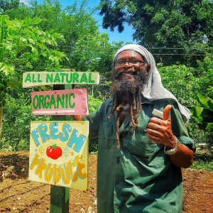 Tmrw.Tday Culture Fest Negril, Jamaica Life Will Find You May 17-23, 2017. For A Better TMRW.TDAY join the Movement